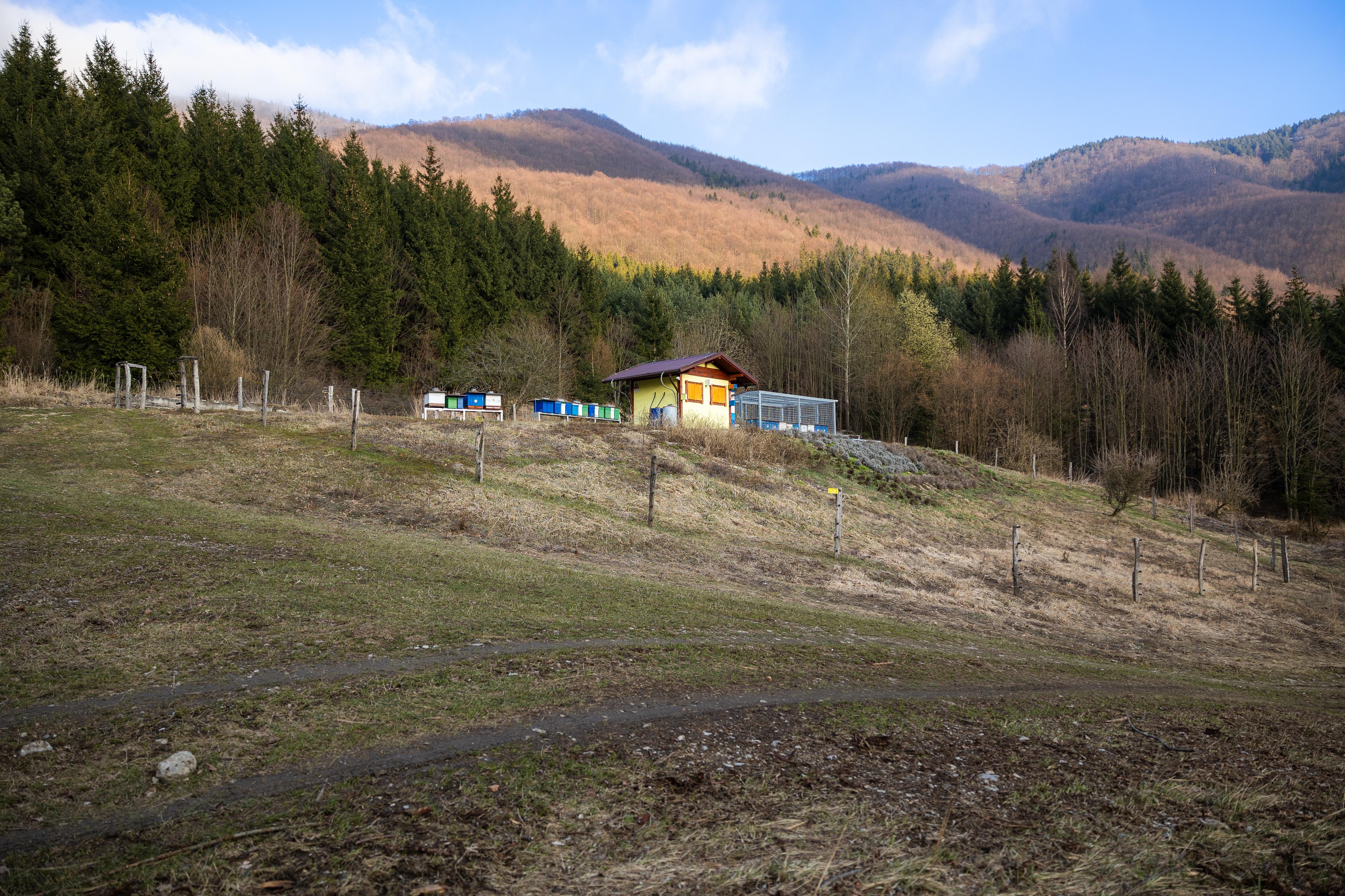 Včelnica pod Kľakom